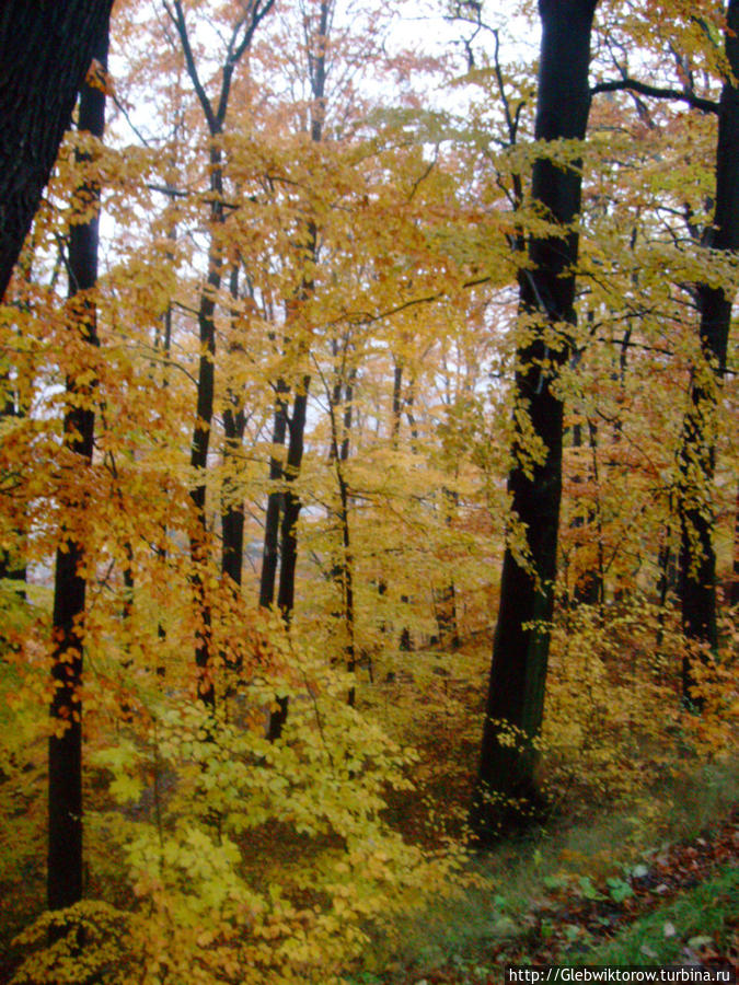 Książ Park Валбжих, Польша