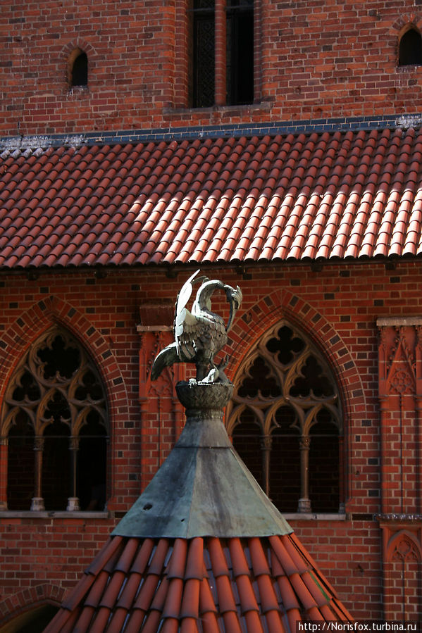 Один из символов ордена — пеликан, клюющий свою плоть, чтобы покормить ею птенцов Мальборк, Польша