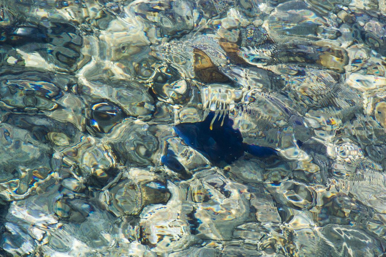 Эйлат. В Красном море Эйлат, Израиль