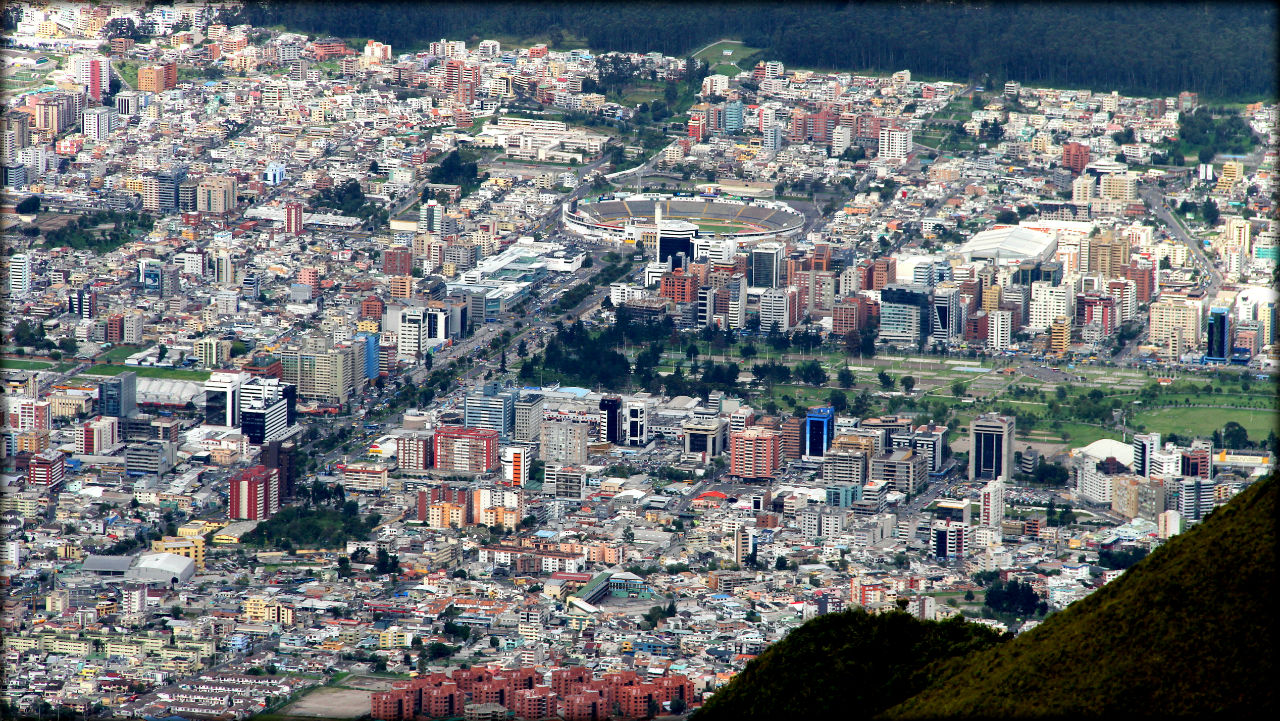 Вечнозелёный Кито Кито, Эквадор