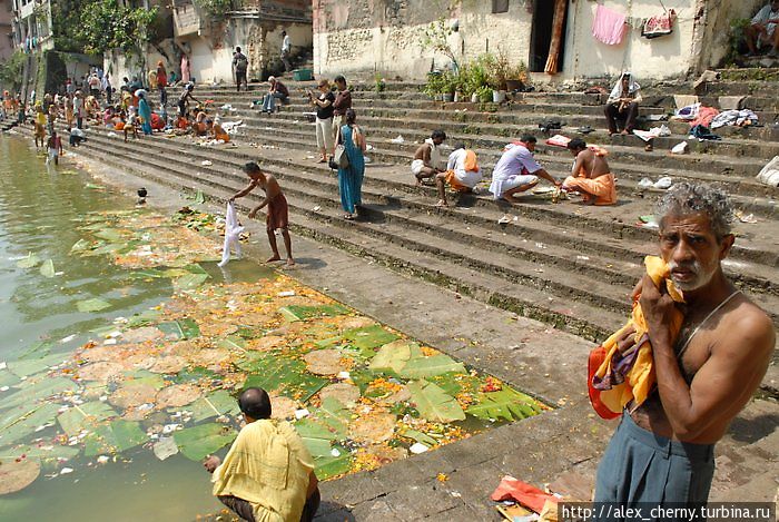 В воде полно еды, цветов и пряностей.. Мумбаи, Индия