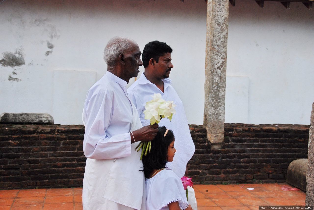 Праздник у Руанвелиссии Анурадхапура, Шри-Ланка