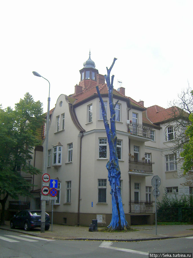 Синее дерево Сопот, Польша