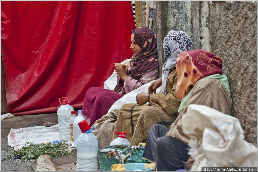 Продавщицы молока. У марокканцев в чести — козье молоко... Эль-Джадида, Марокко
