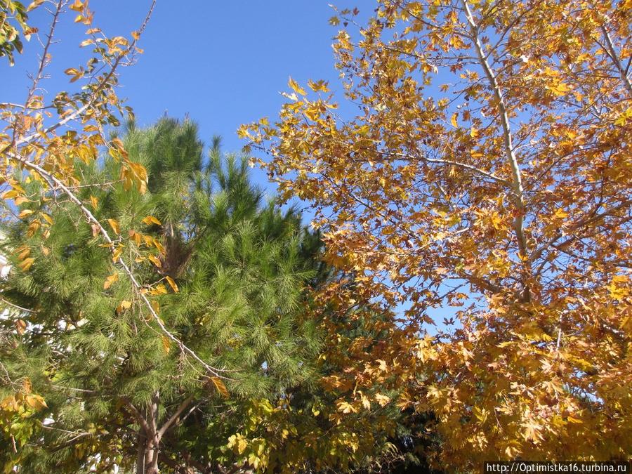 Здравствуй, Дидим! Дидим, Турция