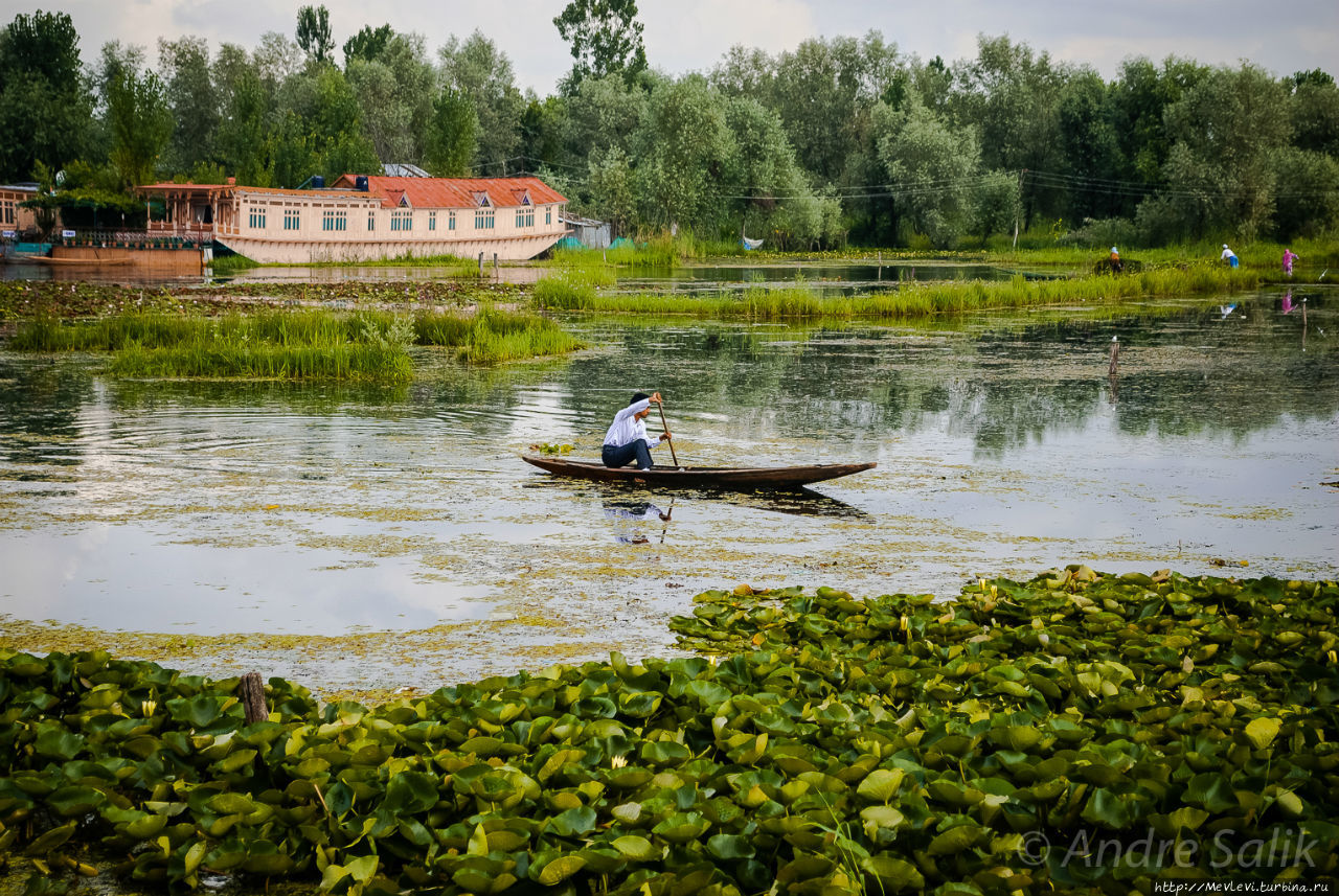 Рассвет на озере Дал Шринагар, Индия
