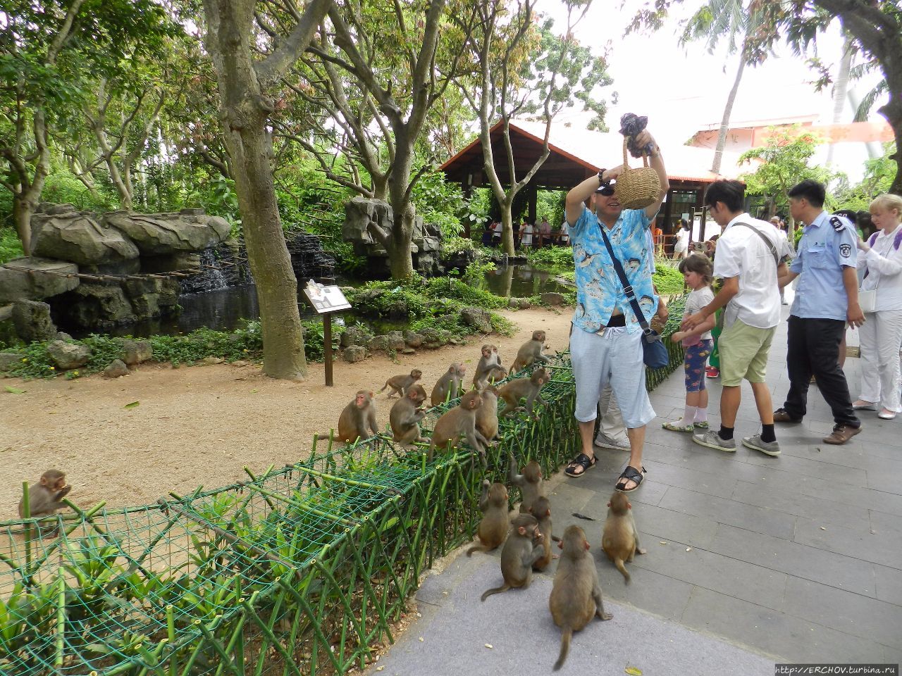 Экскурсия на Остров Обезьян  (南湾猴岛 – Nanwanhoudao) Остров обезьян Наньвань, Китай