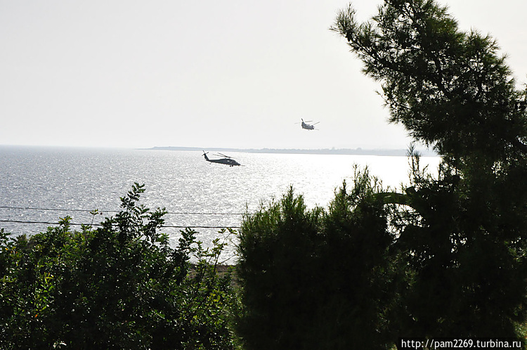 даже транспортные шли гус