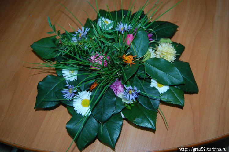 Черемшаны, Россия