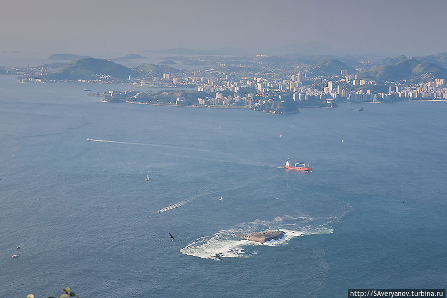 Океанские суда в бухте Рио