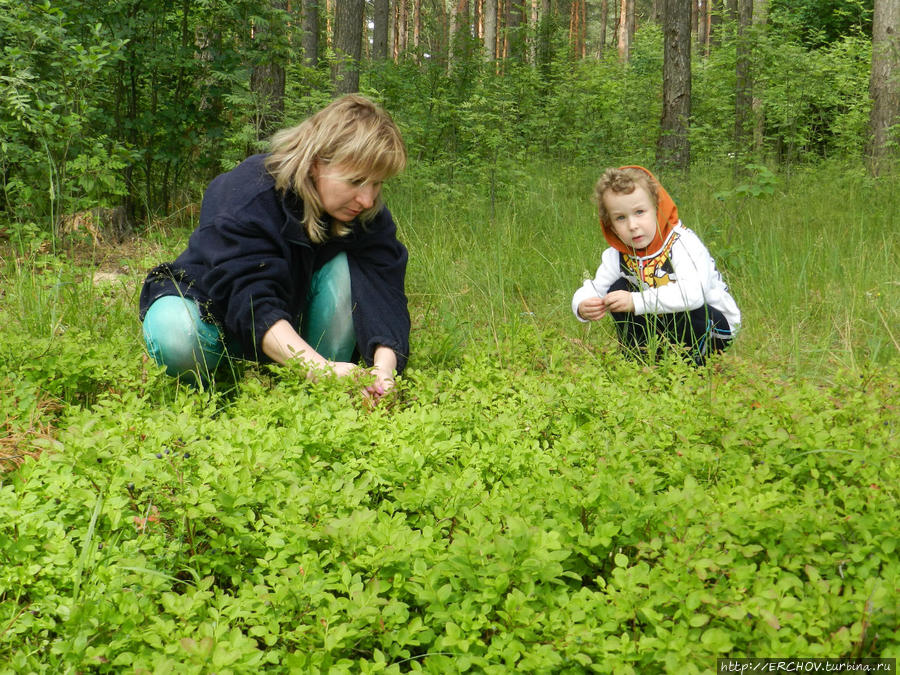 Город Жуковка Жуковка, Россия