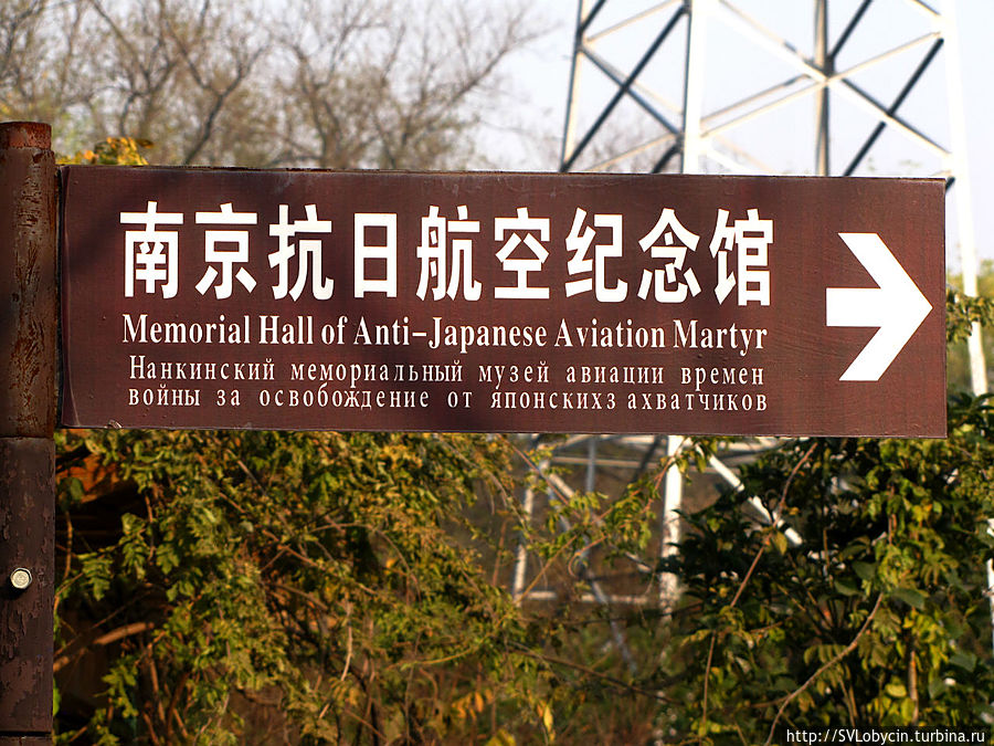 Указатель встречает гостей