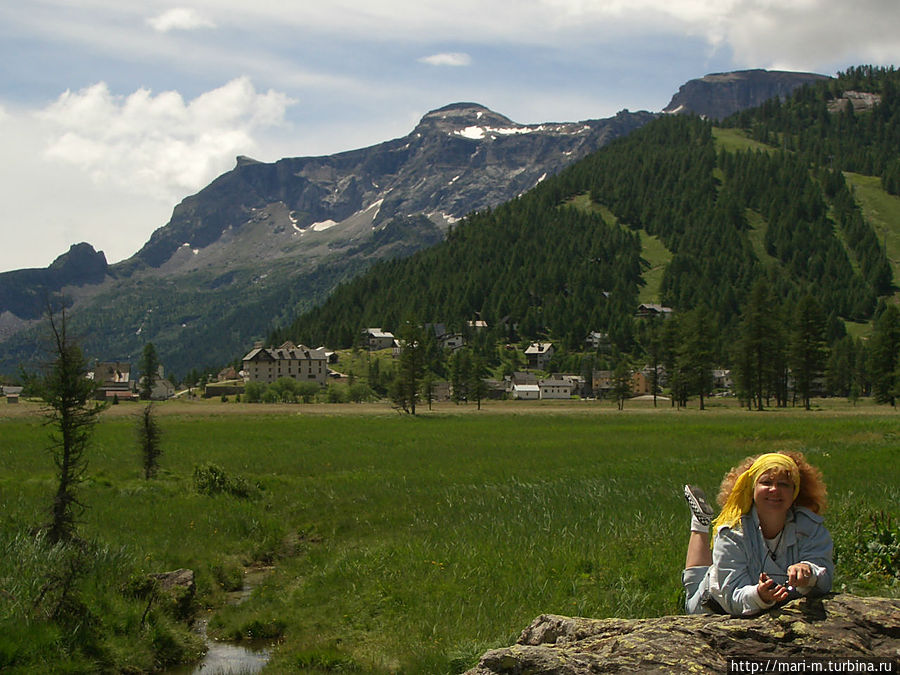 на альпийских лугах