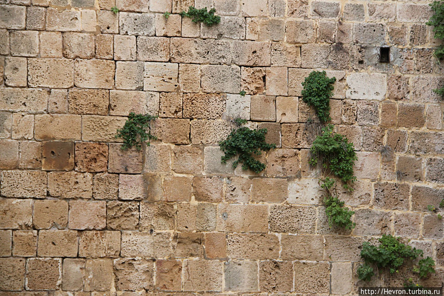 Стена крепости. Акко, Израиль