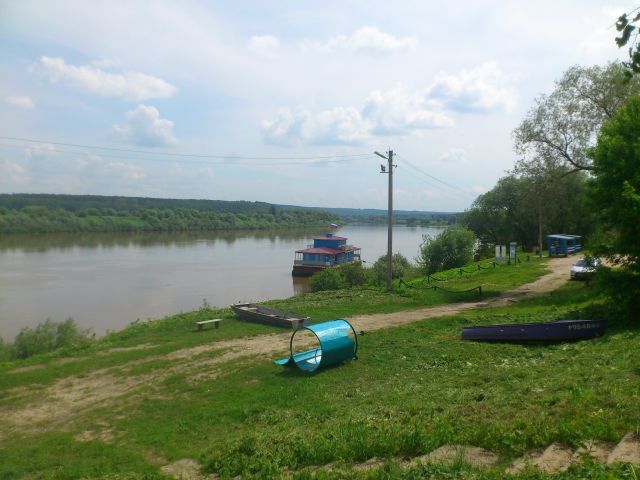 Таруса. В поисках дуба. Таруса, Россия