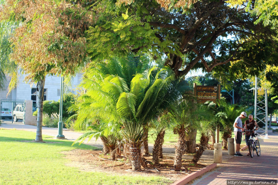 Как я провела Судный день