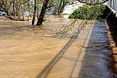 Реки, речки, ручейки, которые летом пересыхают сегодня несутся полноводными потоками , выворачивая деревья.