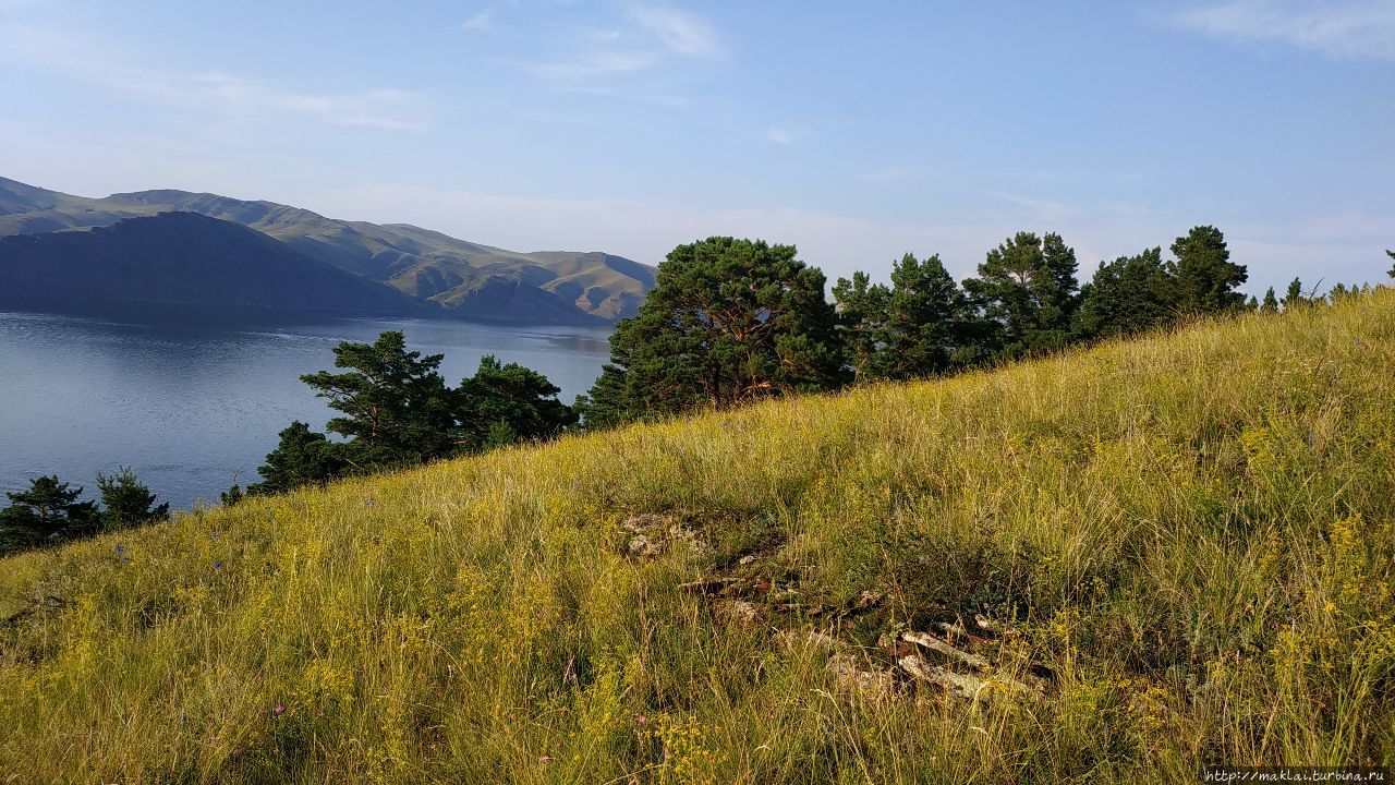 Почти на море.Потрошиловский бор Городок, Россия