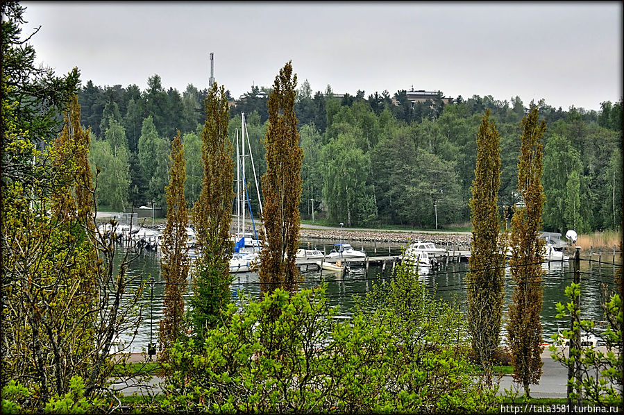 Вид на море с холма