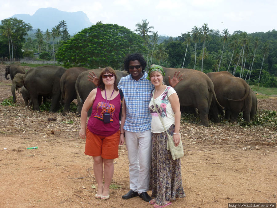 Наш гид Прабат и мы с Олей, на фоне слоновьих задниц. Калутара, Шри-Ланка