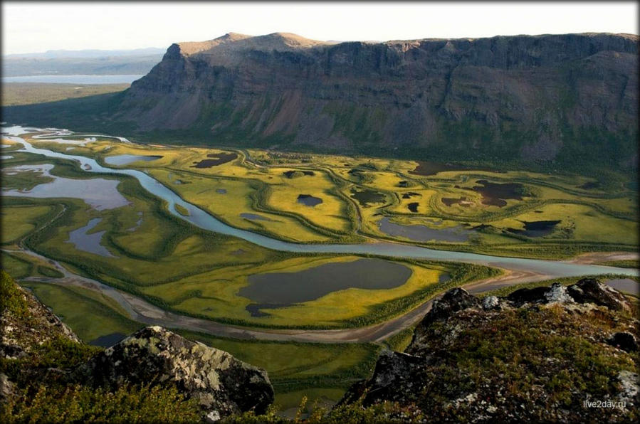 Что? Где? Когда? Природа