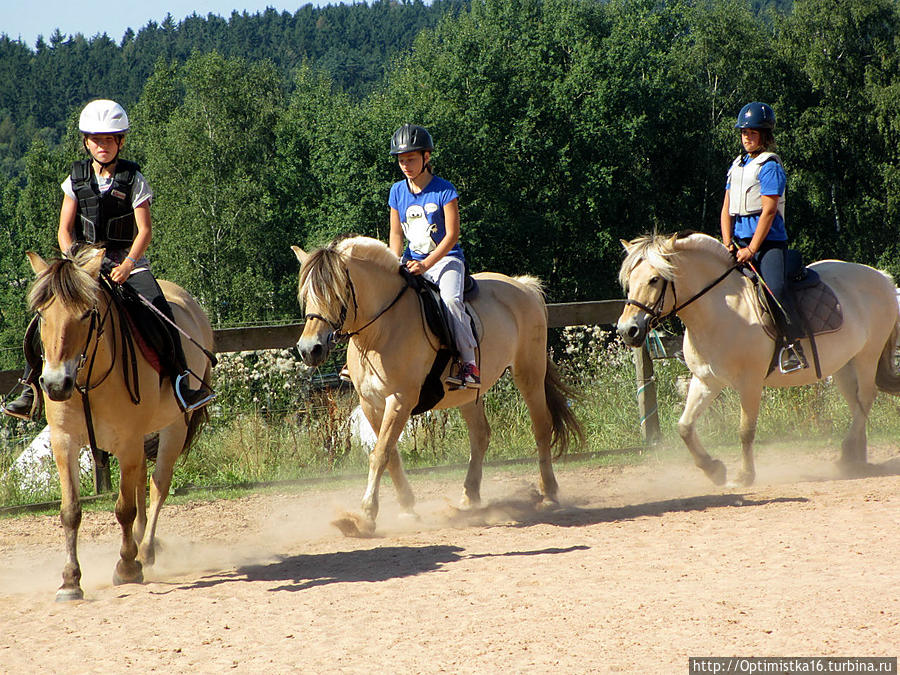 Лошади, пони, козы, котята, дети и мы в лошадином лагере Либерецкий край, Чехия