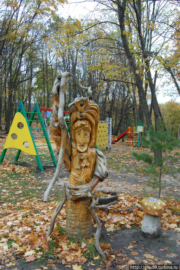 Деревянные диковины Хвалынского национального парка Хвалынский Национальный Парк, Россия
