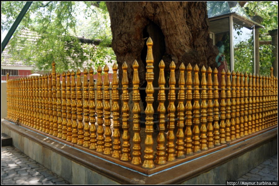 Три  религии  —  это  храмовый   комплекс   Катарагама... Катарагама, Шри-Ланка