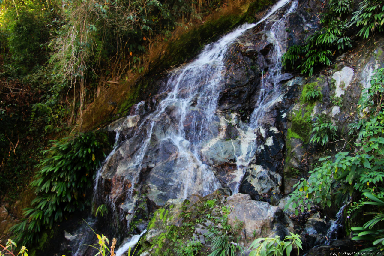 Минка — край зелени и водопадов Санта-Марта, Колумбия