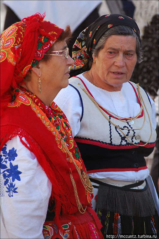 Осенний праздник урожая в Ниме. О людях и быках Ним, Франция