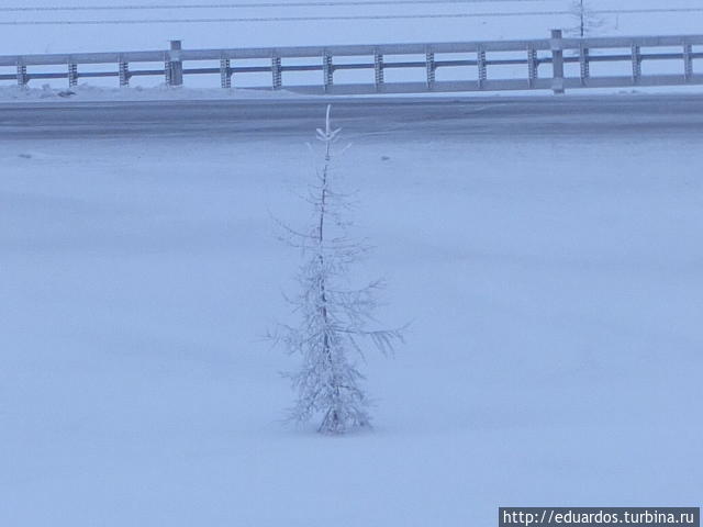 Морозные картинки Игарка, Россия