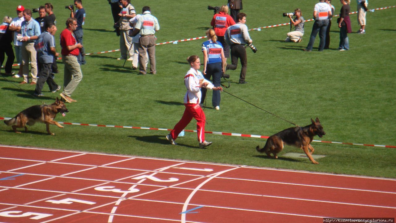 Зигер в Ульме Ульм, Германия