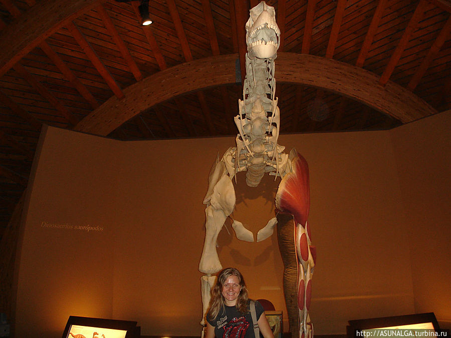 В триасовом зале есть экспонаты динозавров, обитавших в триасе (с 251 до 200 миллионов лет назад). Также показаны гастролиты, копролиты (окаменелый навоз), яйца и гнёзда. Скелет платеозавра — самый крупный в этом зале.