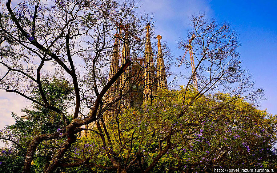 Собор Sagrada Familia — визитная карточка Барселоны Барселона, Испания