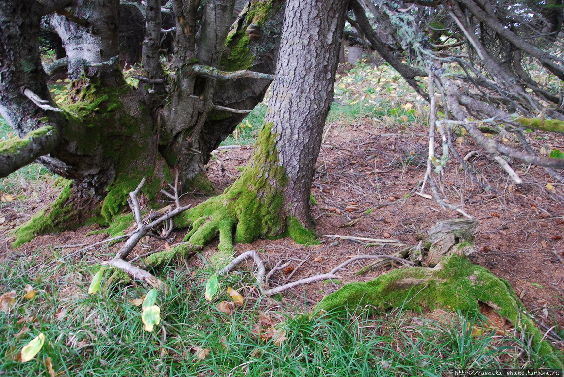 Мыс Великан. Опасная дорога Остров Сахалин, Россия