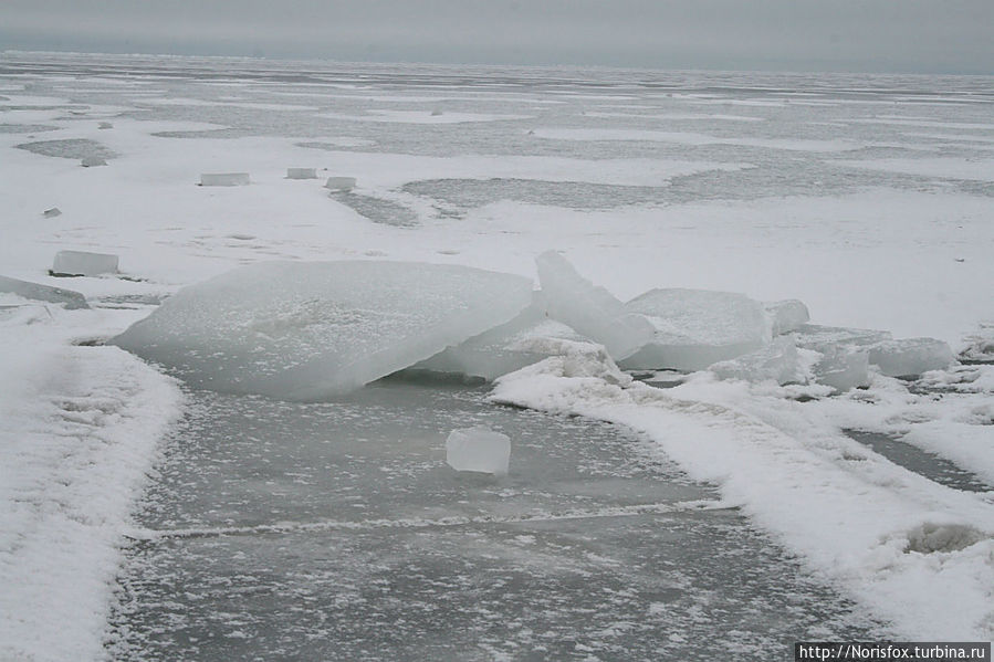 По Балтийскому катку Юрмала, Латвия