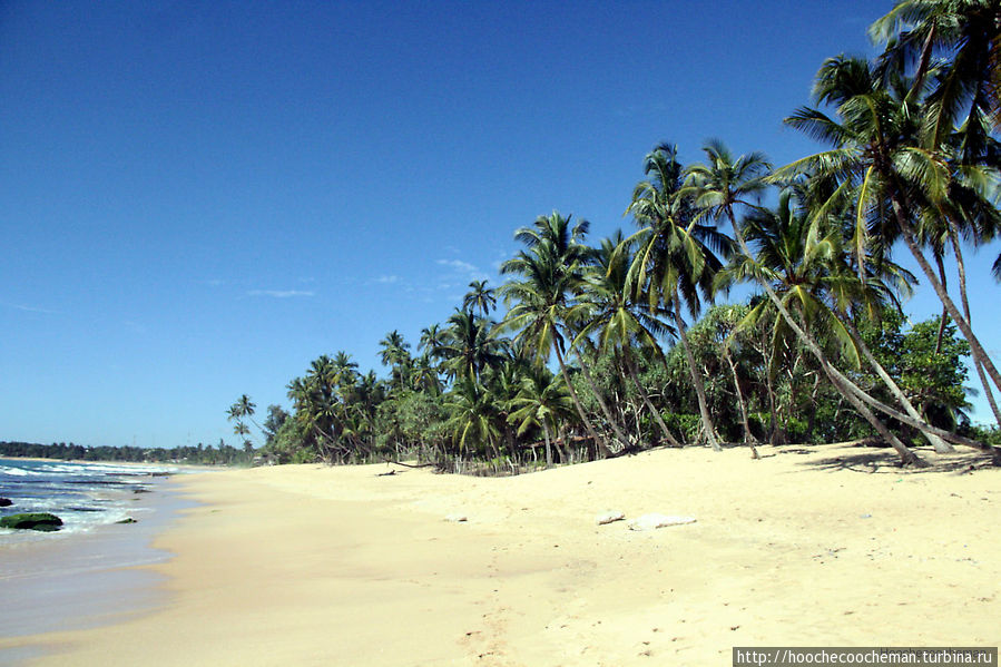 Шри-Ланка: Остров свободы в Индийском океане Шри-Ланка