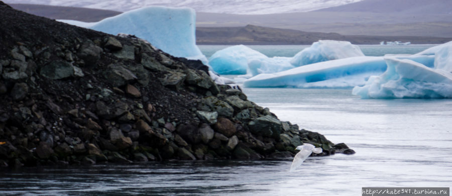 Внезапная Исландия. За рулем. Лагуна айсбергов Йёкюльсаурлоун ледниковая лагуна, Исландия