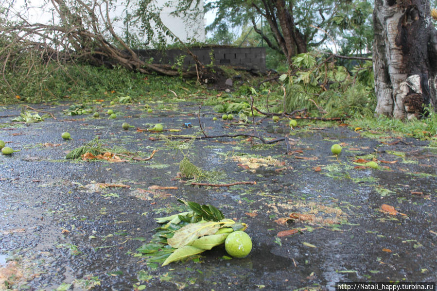 Последствия стихии Сен-Дени, Реюньон