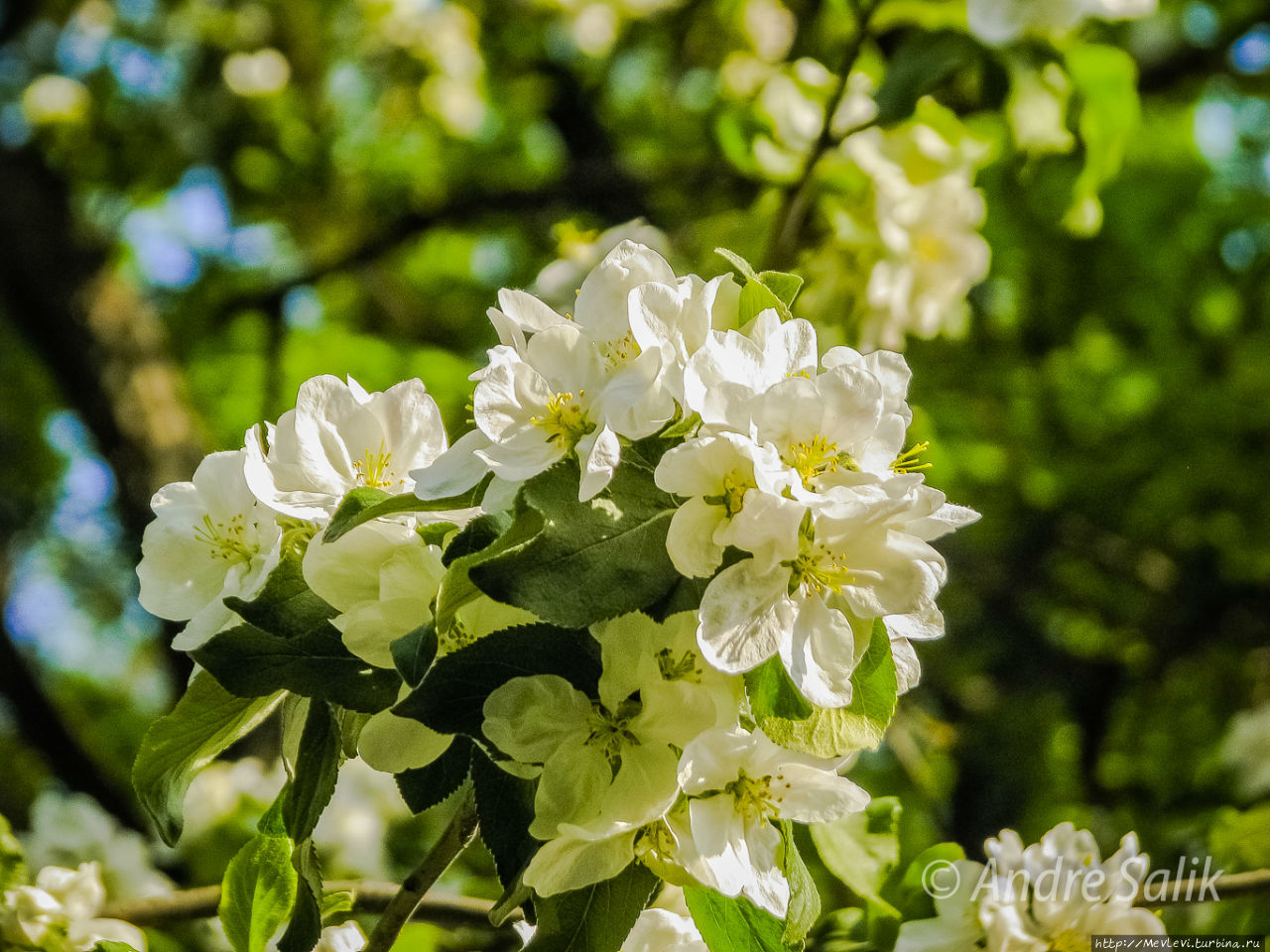 Был месяц май Рига, Латвия