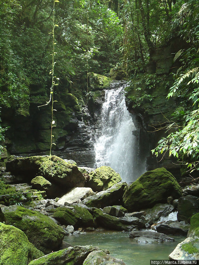Водопад Каскада де ла Плата Тена, Эквадор