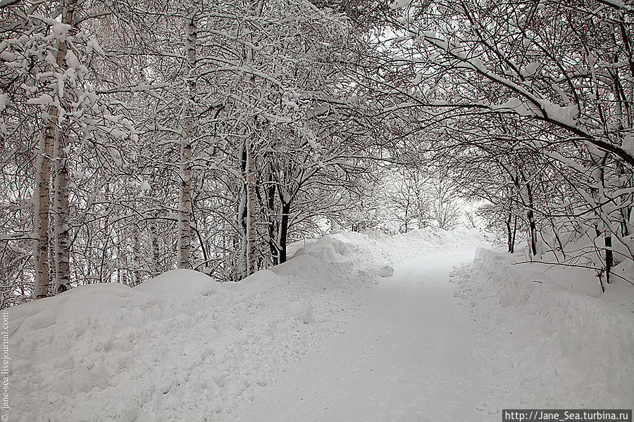 Белый туннель по дороге на Тугаю Горно-Алтайск, Россия