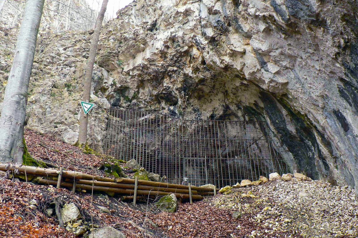 Пещера Гайссенклёстерле / Geissenklösterle cave