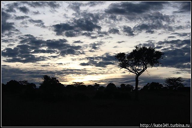 Открытие нового континента. Часть 3. Масаи-Мара Масаи-Мара Национальный Парк, Кения