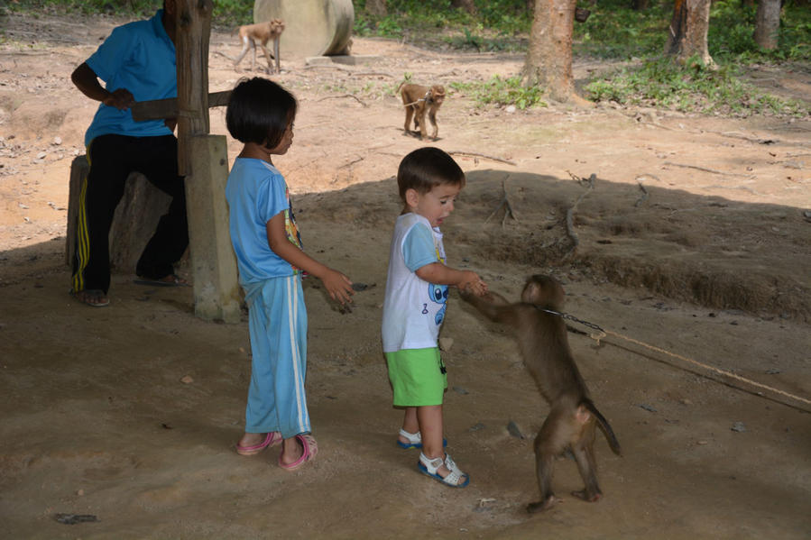 Школа обезьян Остров Ланта, Таиланд