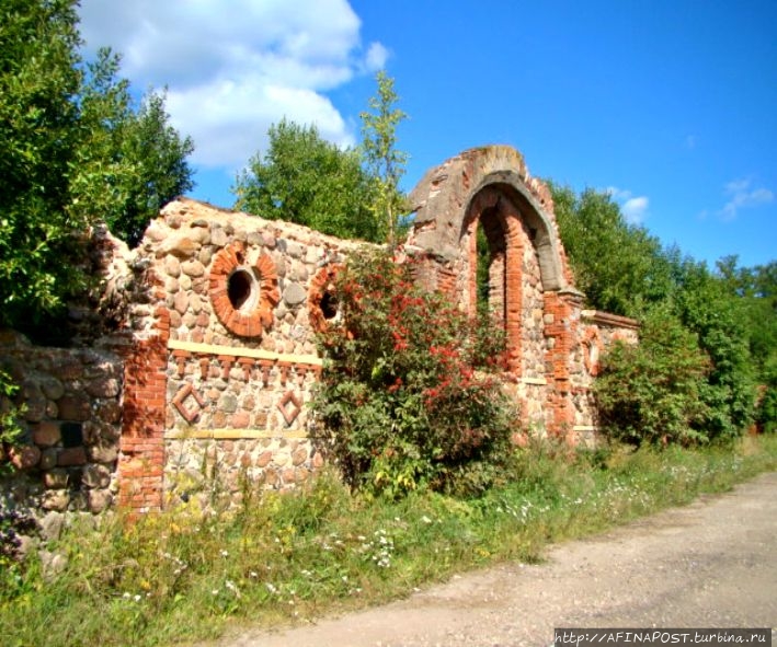 Усадьба Врангелей в Торосово. О чём молчат руины