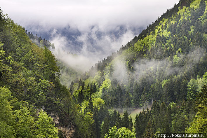 Подхом — в окрестностях ущелья Винтгар Юлийские Альпы, Словения