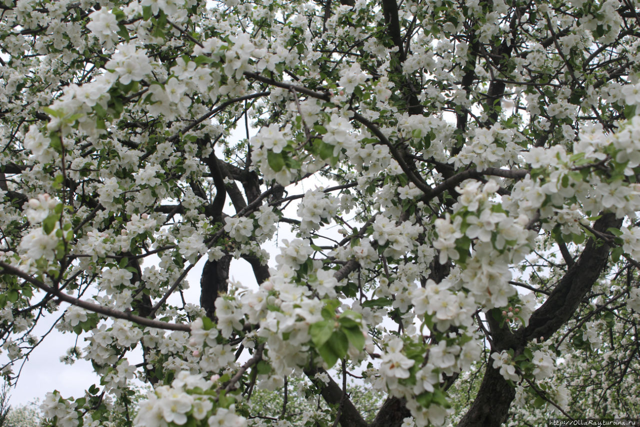Пока не кончилась весна Москва, Россия