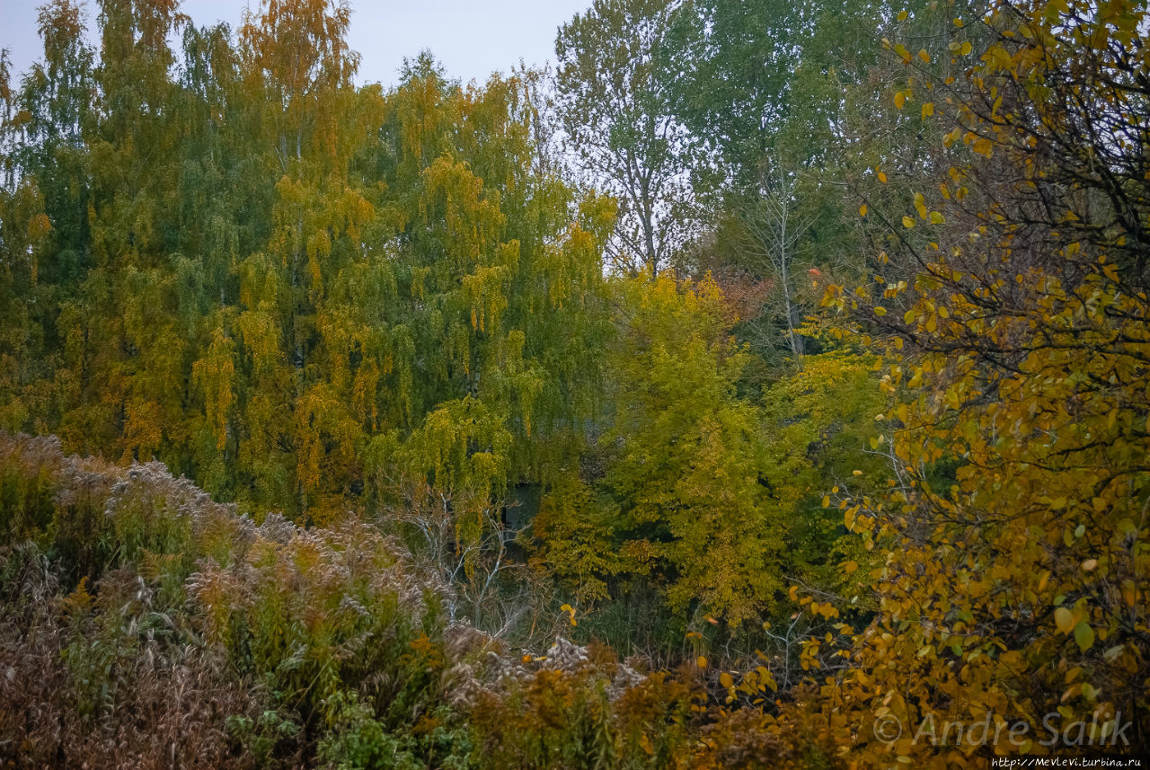 Красивая осень!!! Рига, Латвия