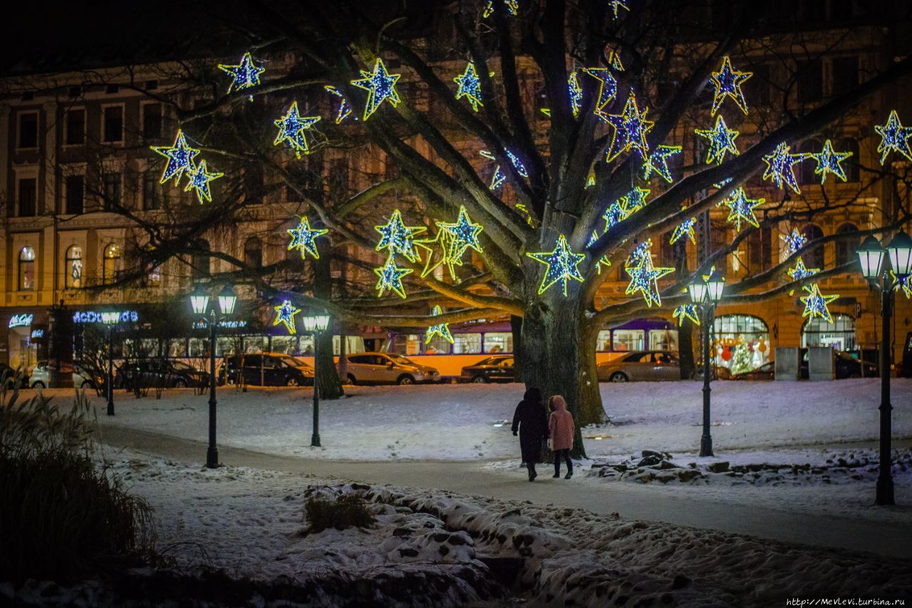 Путь рождественских елок. Ziemassvētku egļu ceļš Рига, Латвия